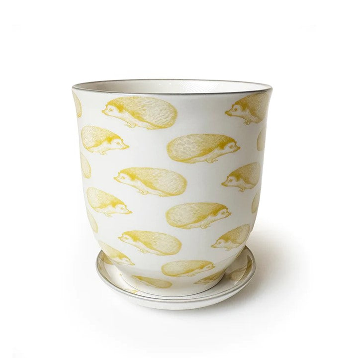 Big Liberte Pot with Saucer - Yellow Hedgehogs - 4.25"