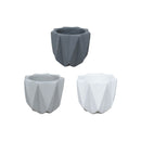 Pavo Cement Planter - 5"