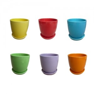Torres Planter with Saucer - Assorted - 4.5 in