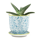 Big Liberte Pot with Saucer - Blue Birds - 4.25"