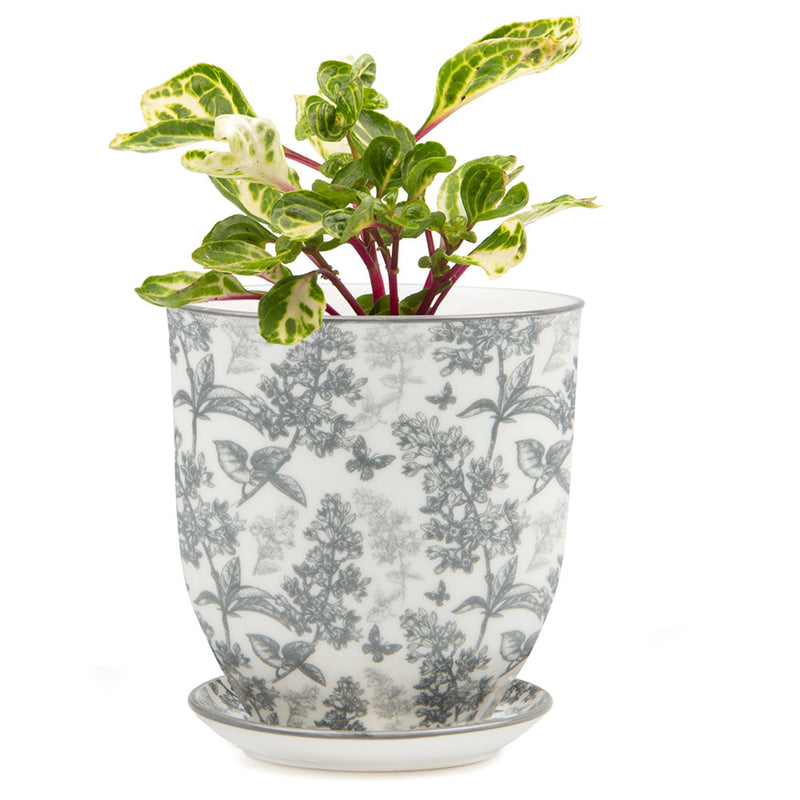 Big Liberte Pot with Saucer - Grey Forest - 4.25"