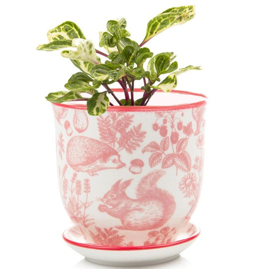 Big Liberte 4 Pot with Saucer-4.25 in-Red Squirrels