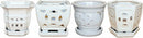 White Orchid Pot - Assorted 5"