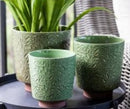 Chloe Planter-Small-Green-5.5x6in