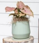 Emerson Planter-Matte Green-7x7in