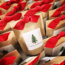 Garden In Bag - Christmas Tree