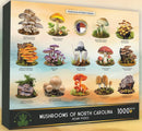 Native Mushrooms of NC Puzzle - 1000 pieces