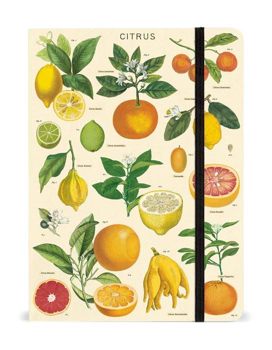 Notes Cytryn Citrus Notebook
