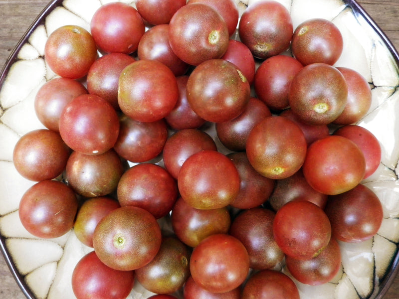 SESE: Tomato: Black Cherry Seeds