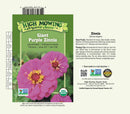 Giant Purple Zinnia Seeds