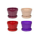 Glazed Floral Pot - Assorted - 5"