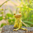 Frog in Thought