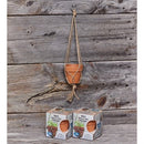 Mini Hanging Terra Cotta Pot - 3.75"