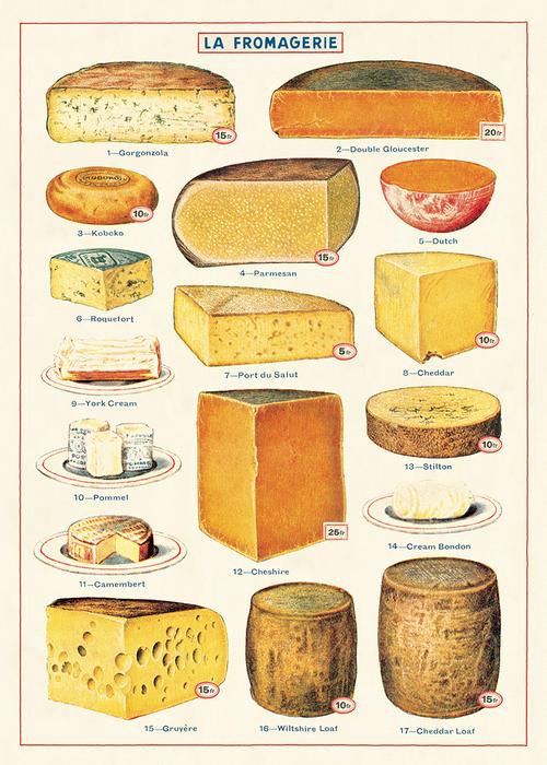 Cavallini Poster: Cheese