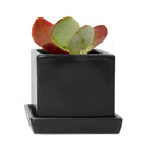 Cube & Saucer - Black - 3"