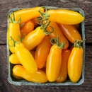 HM: Tomato: Starlight Grape Seeds