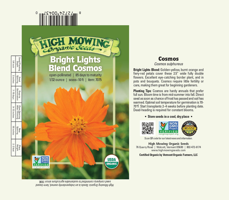 orange cosmos flower seeds Cosmos Bright Lights Blend Seeds