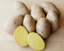 Seed Potato - German Butterball - 1lb