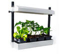 SunBlaster LED Micro Garden