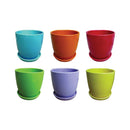 Torres Planter - Assorted - 6.5"