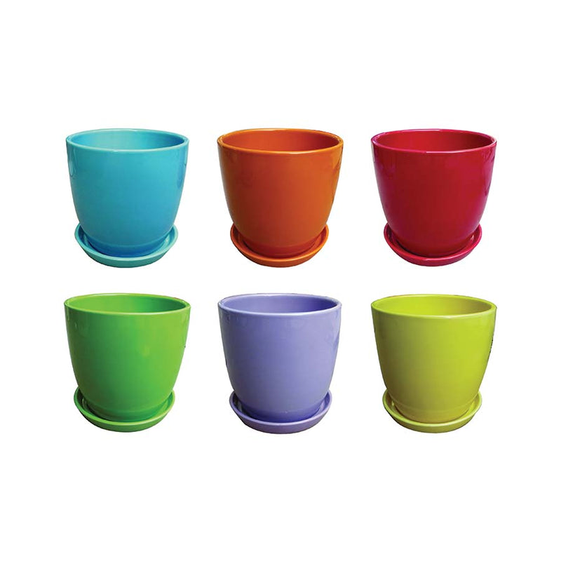 Torres Planter - Assorted - 6.5"