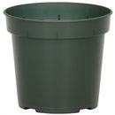 Geranium Nursery Pot - Green