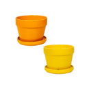 Glazed Floral Pot - Assorted - 7"