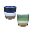 Scotia Planter - Assorted - 5"