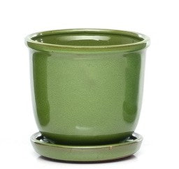 Tomorrow Petits Pot w/Attached Saucer - 5"