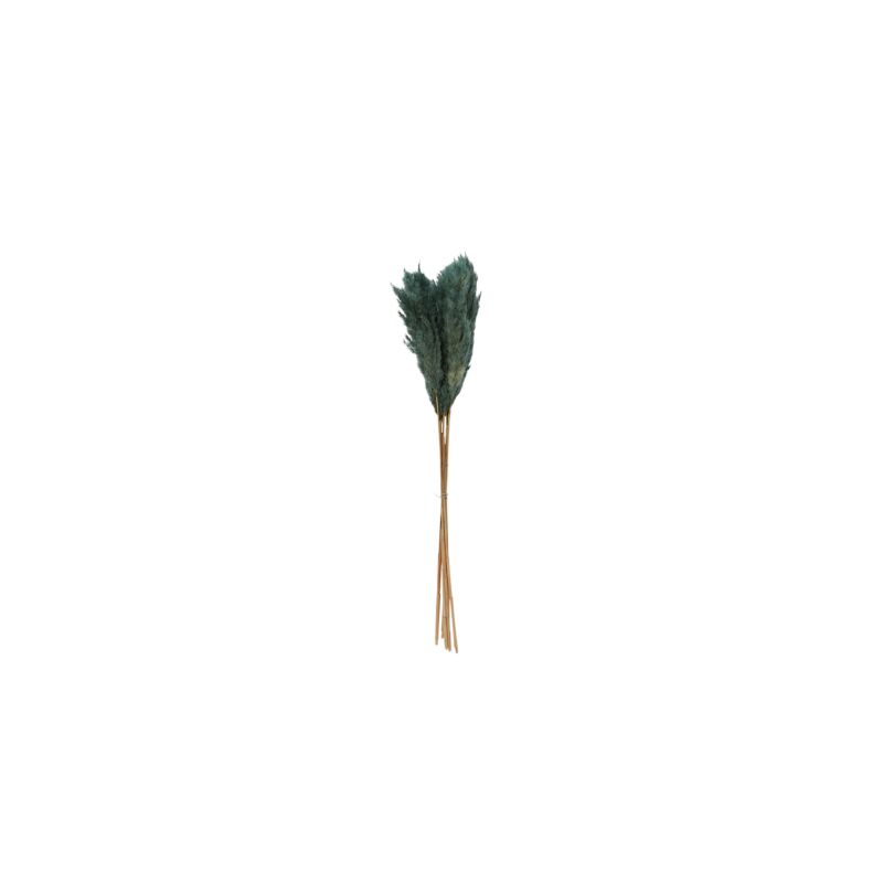 Botanica Collection