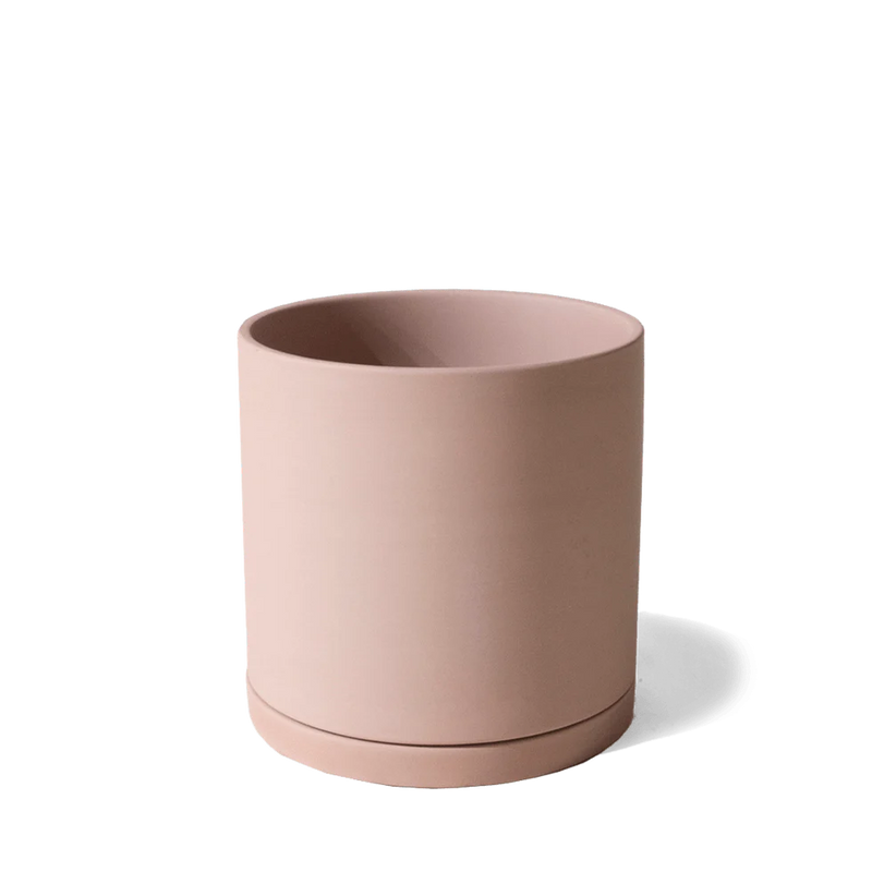 Dojo Pot & Saucer