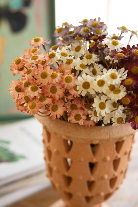 Botanica Collection