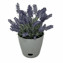 Bamboo Self Watering Planter - Gray - 7"