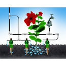 Blumat Pressure Reducer