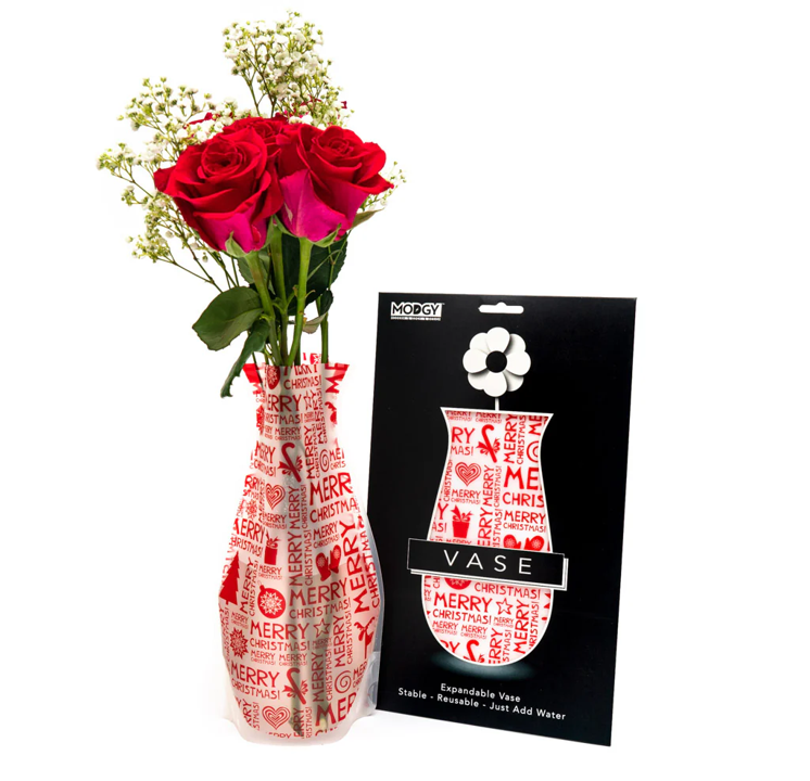 Modgy: Expandable Vase
