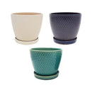 Pantheon Planter-Assorted