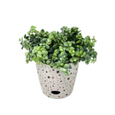 Bamboo Self Watering Planter - Dots - 7"