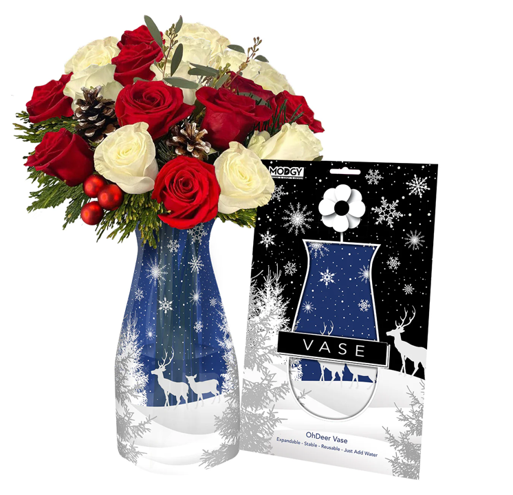 Modgy: Expandable Vase