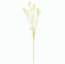 Dried Plume Grass Spray - 35" - Cream