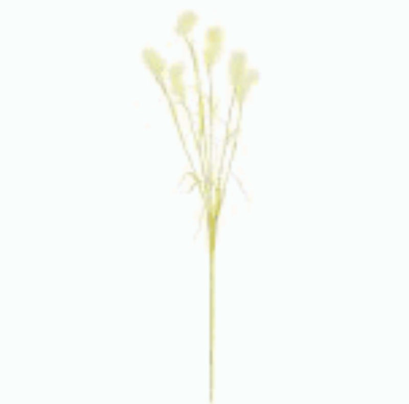 Dried Plume Grass Spray - 35" - Cream