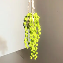 Hanging Crochet Ornaments