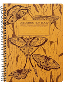 Midnight Moths Decomposition Book