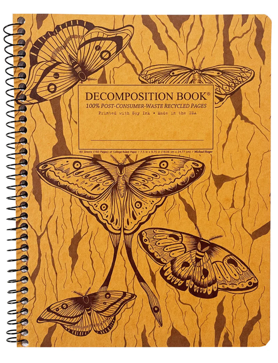 Midnight Moths Decomposition Book