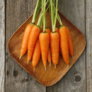 Carrot: Danvers 126 Seed
