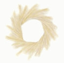 Pampas Plume Wreath - 20" - Wheat