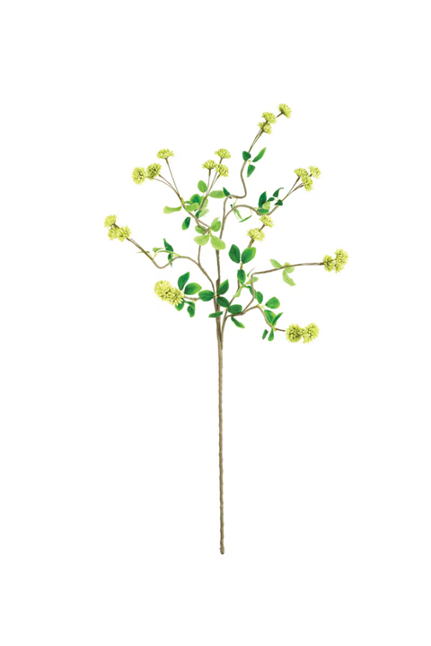 Botanica Collection