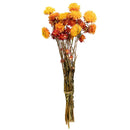Dried Flower Bouquet - Fall Styles