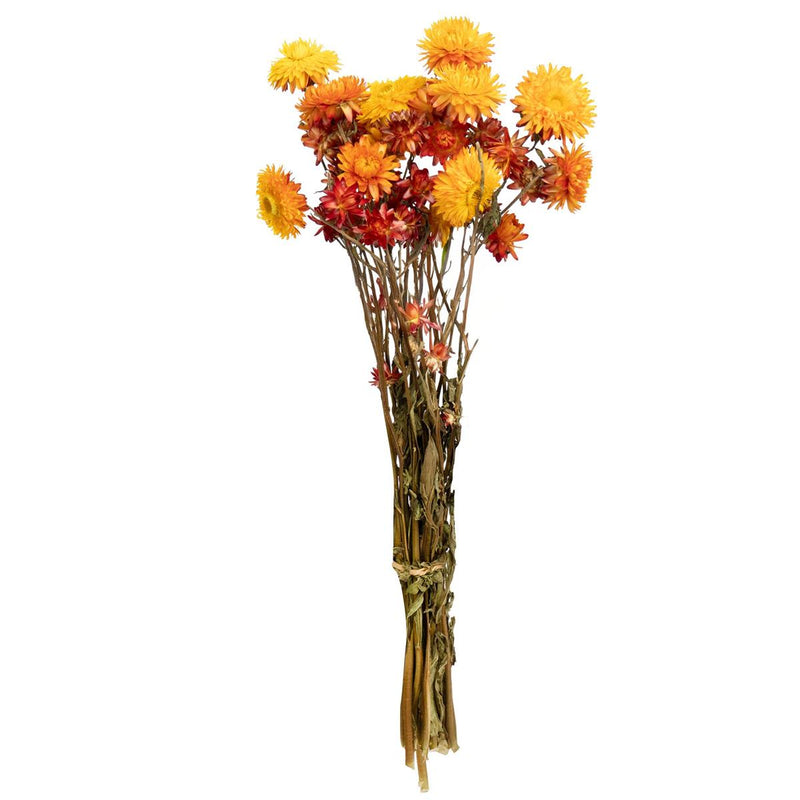 Dried Flower Bouquet - Fall Styles