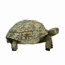 Turtle-Distressed Verdigris - 5"