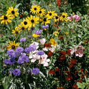 Flower Mix: Hummingbird, Butterfly, and Songbird Seeds